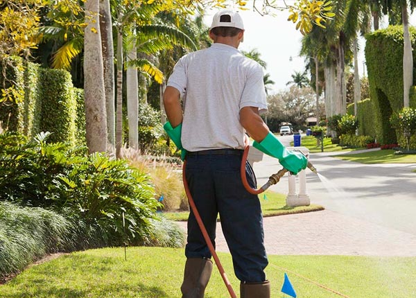 About Jakin GA Pest Control Pros